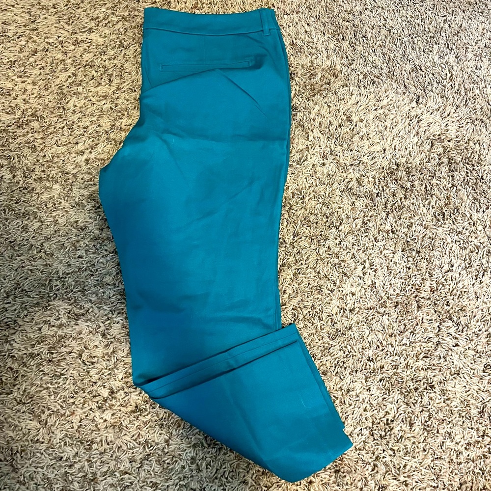 Pixie skinny ankle pants